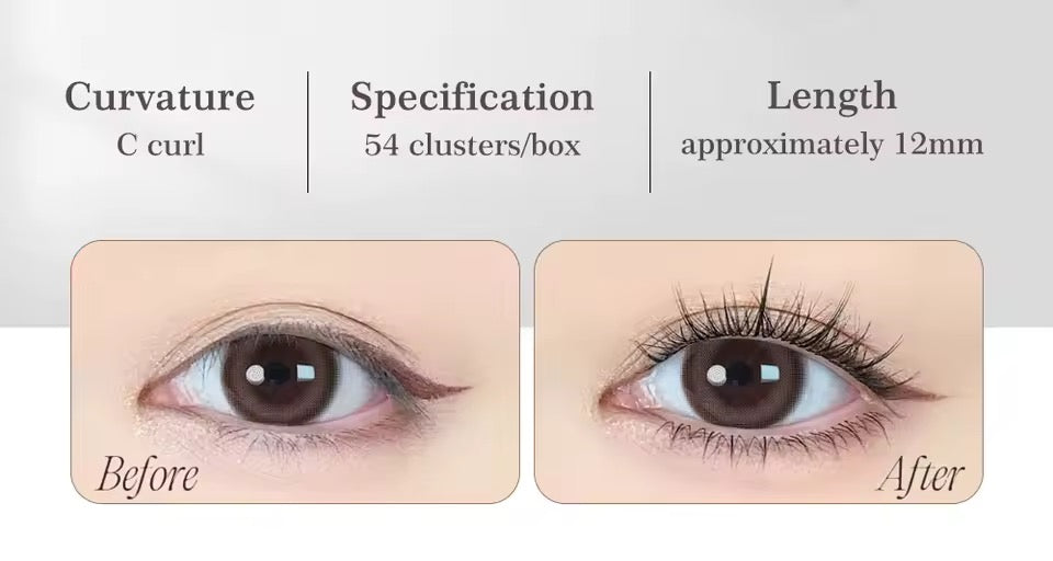 06 Vanessa Volume Lash Clusters
