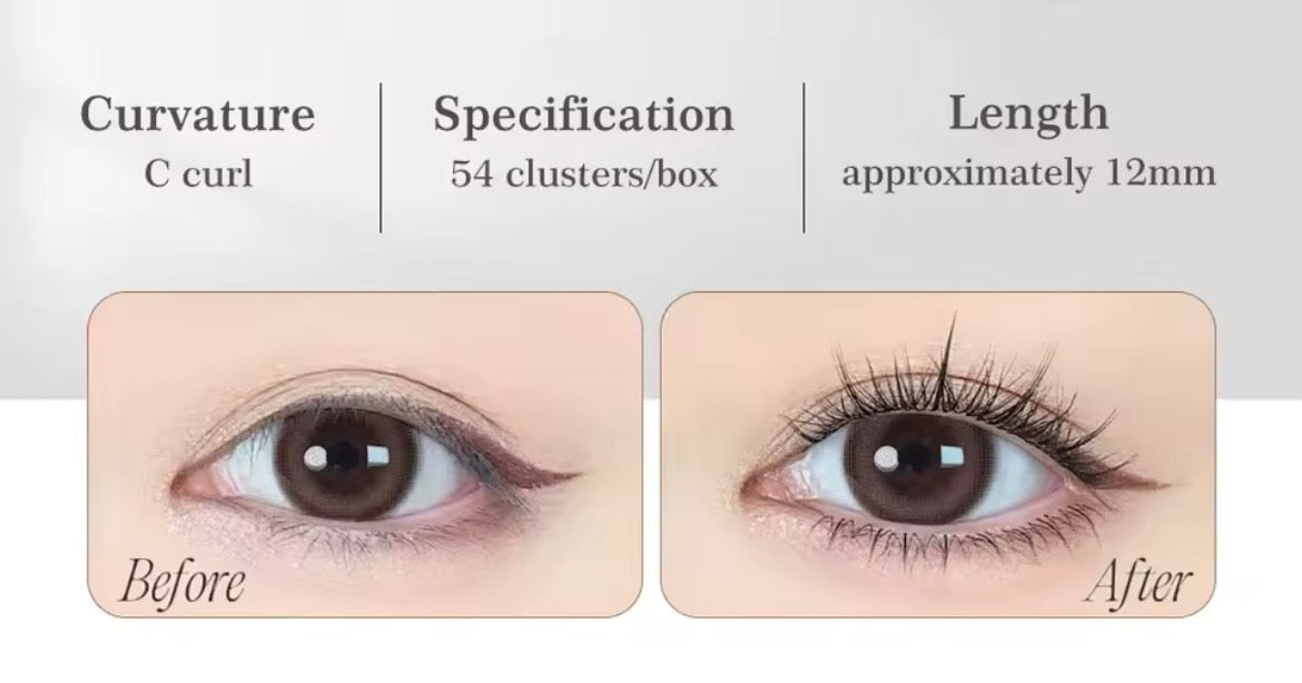01 Jasmine Wispy Lash Clusters